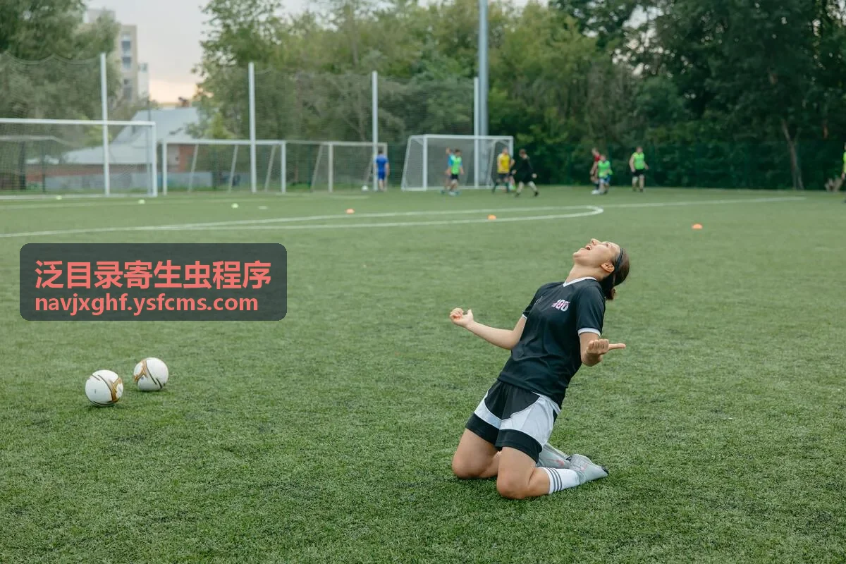 二级泛目录霸屏源码异常路径检测背景