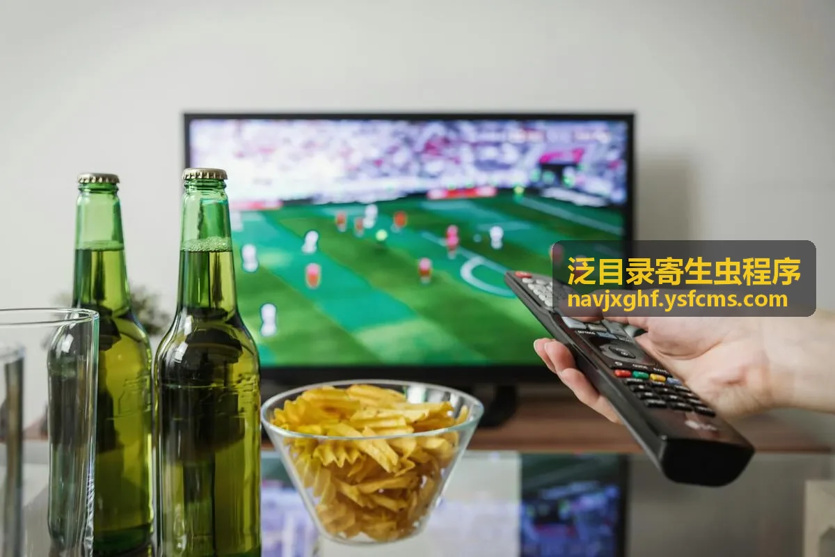 二级泛目录霸屏源码异常目录检查示意