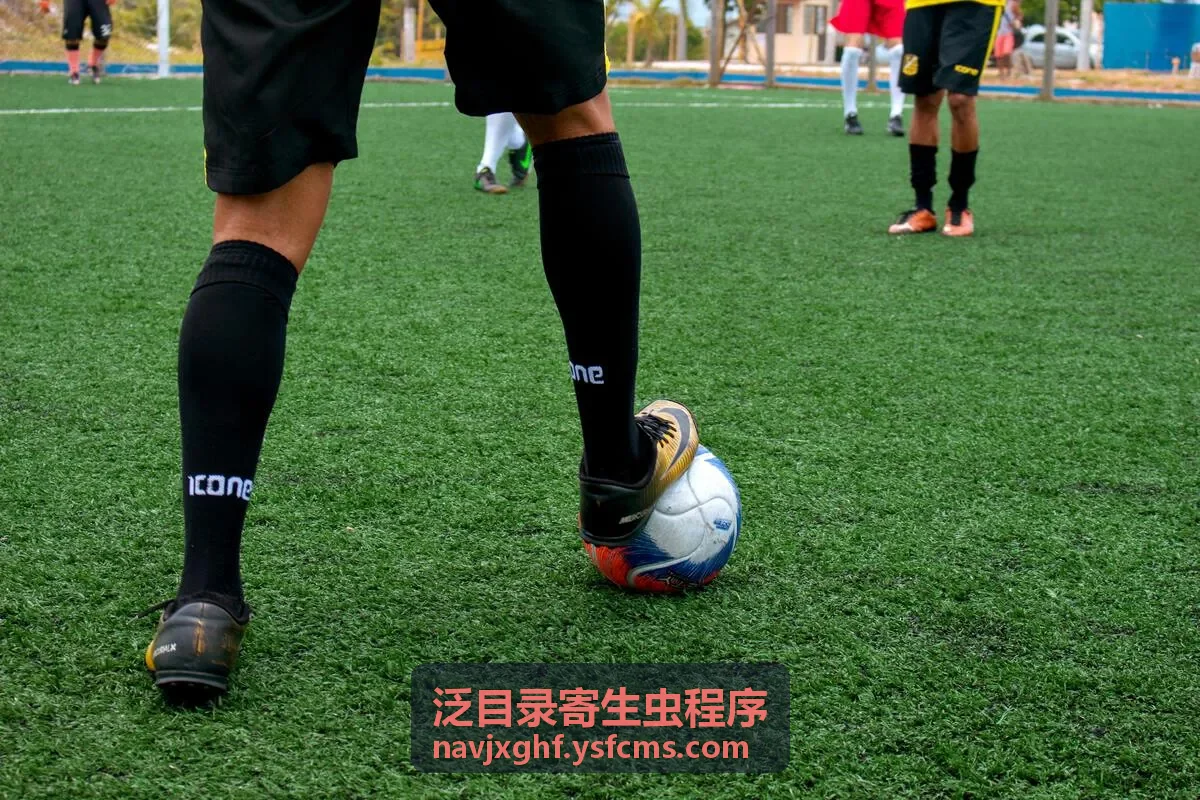 二级泛目录霸屏源码陌生页面收录排查