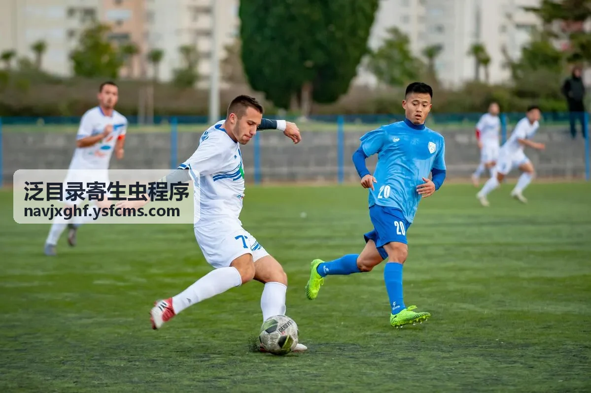 二级泛目录霸屏源码清理后复发检查